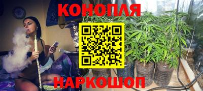 гашик Краснознаменск