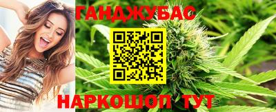 гашик Краснознаменск