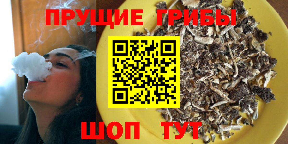 Галлюциногенные грибы мицелий Кизилюрт