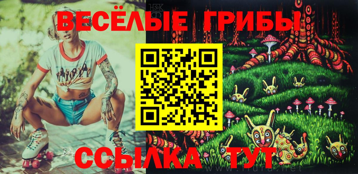 Псилоцибиновые грибы Psilocybine cubensis  Вход с VPN  Кизилюрт 
